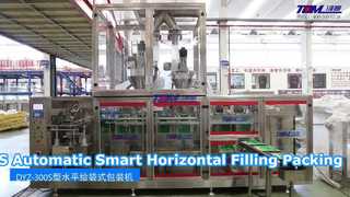 Machine de conditionnement d'emballage de remplissage horizontal intelligent automatique Dyz-300S pour un remplissage efficace